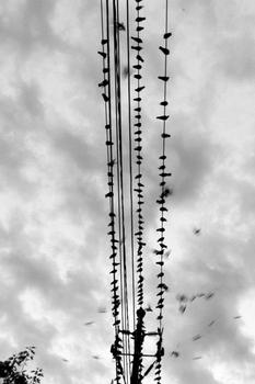 �齫��Ͳ�Ӽ��ɷ�����Ƶ���й����ٹ�·1���շ�4000�� ���󳬽��ڷ���...